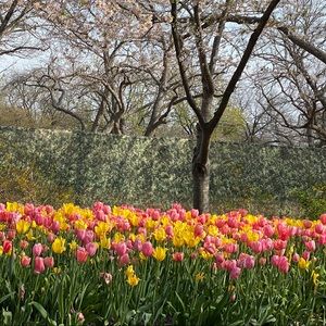 Meet your Posher, Prashant